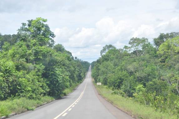 A longa estrada que liga Roraima ao Amazonas